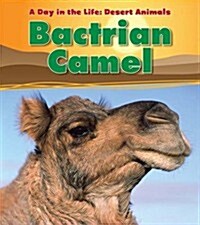 Bactrian Camel (Paperback)