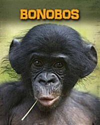 Bonobos (Hardcover)