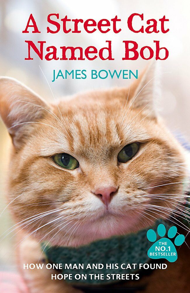 A Street Cat Named Bob : How One Man and His Cat Found Hope on the Streets (Paperback)