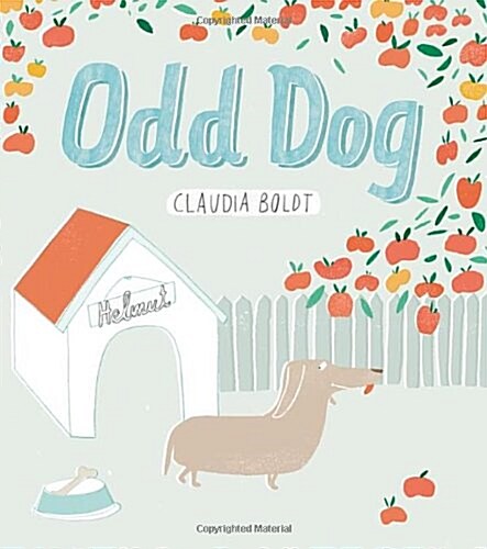 Odd Dog (Paperback)