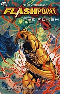 Flashpoint (Paperback)