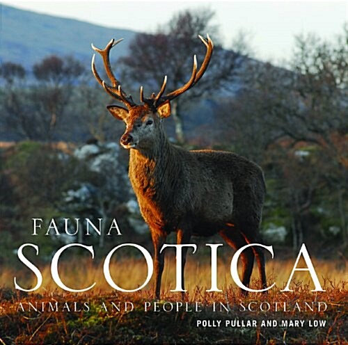 Fauna Scotica : Animals and People in Scotland (Hardcover)