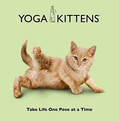 Yoga Kittens: Take Life One Pose at a Time (Hardcover)