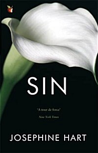 Sin : By the author of DAMAGE, inspiration for the Netflix series OBSESSION (Paperback)