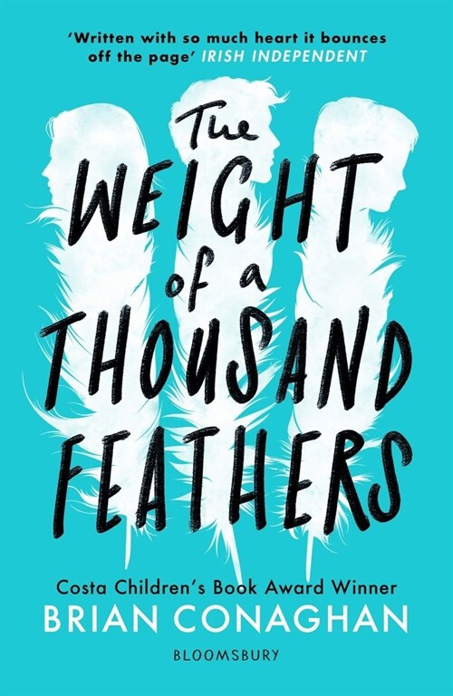 The Weight of a Thousand Feathers (Paperback)