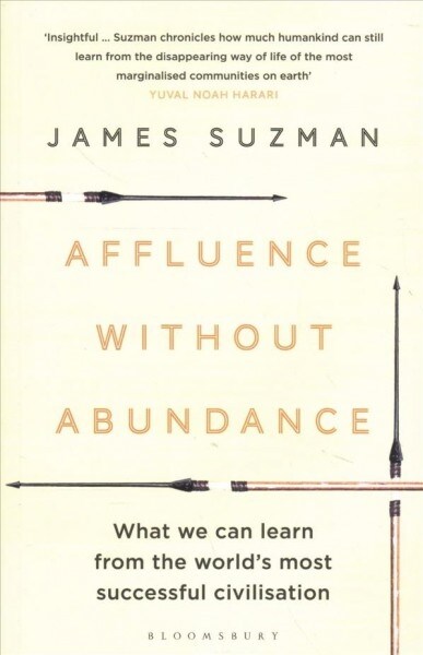 Affluence Without Abundance : What We Can Learn from the Worlds Most Successful Civilisation (Paperback)