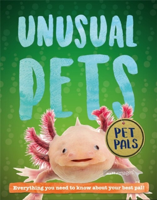 Pet Pals: Unusual Pets (Hardcover)