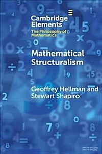 Mathematical Structuralism (Paperback)