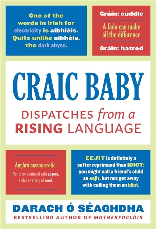 Craic Baby : Dispatches from a Rising Language (Paperback)