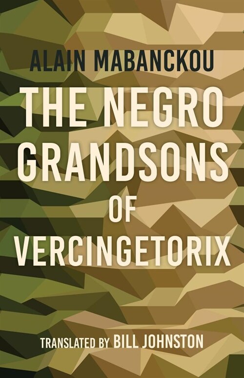 The Negro Grandsons of Vercingetorix (Paperback)