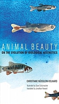 Animal Beauty: On the Evolution of Biological Aesthetics (Hardcover)