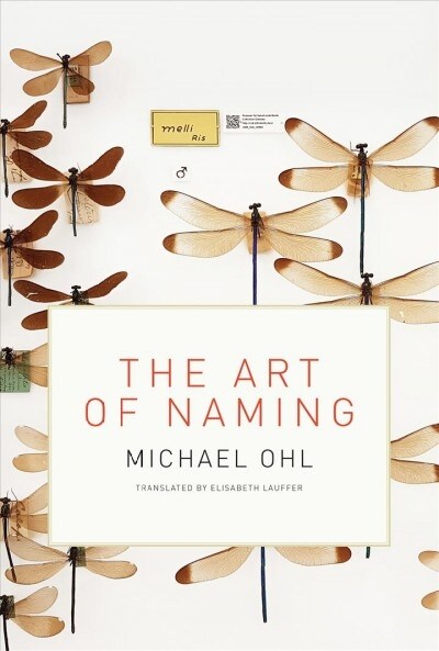 The Art of Naming (Paperback)