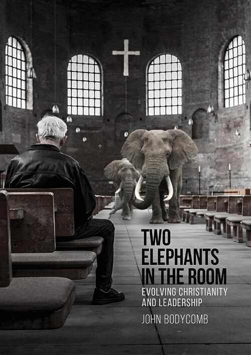 Two Elephants in the Room: Evolving Christianity and Leadership (Paperback)