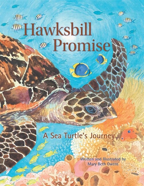 Hawksbill Promise: The Journey of an Endangered Sea Turtle (Hardcover)