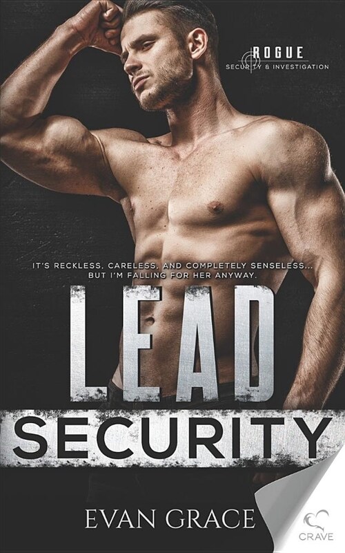 Lead Security (Paperback)