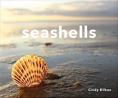Seashells (Hardcover)