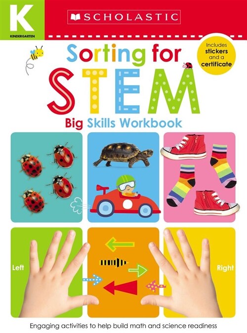Sorting for Stem Kindergarten Workbook: Scholastic Early Learners (Big Skills Workbook) (Paperback)