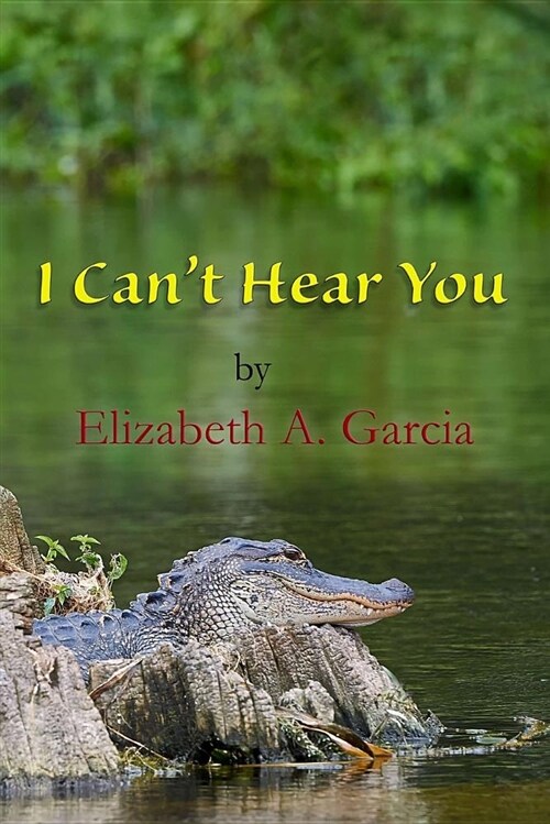 I Cant Hear You (Paperback)