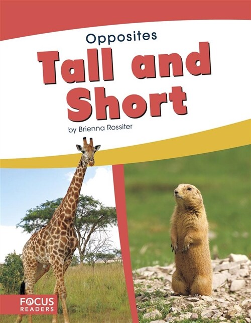 Tall and Short (Paperback)