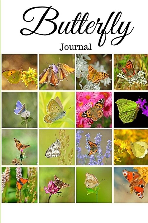 Butterfly Journal (Paperback)