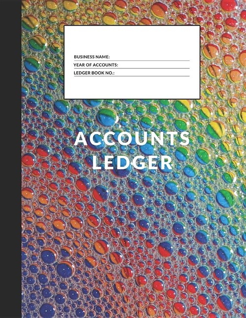 Accounts Ledger: Simple Accounts Ledger for Home and Business (Paperback)