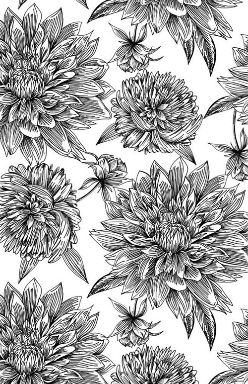Bullet Journal: Peonies in Black and White - Notebook with 160 Dot Grid Pages (Paperback)