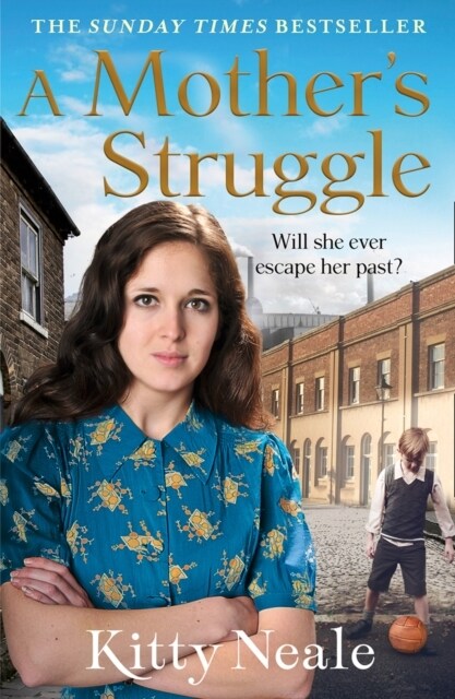 A Mother’s Struggle (Paperback)