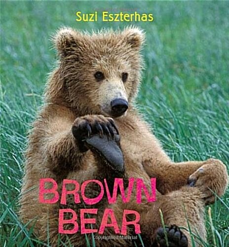Brown Bear (Hardcover)
