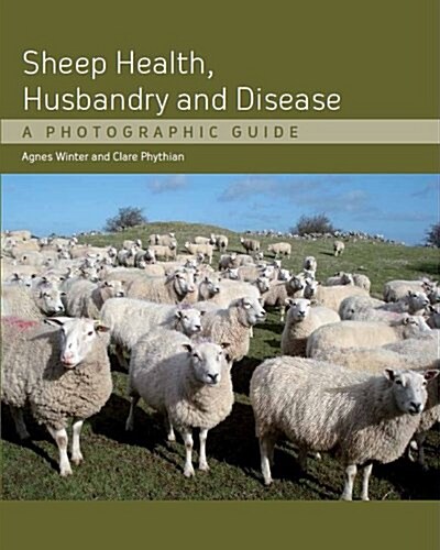 Sheep Health, Husbandry and Disease : A Photographic Guide (Hardcover)