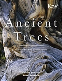 Ancient Trees : Trees that live for a thousand years (Hardcover)