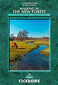 Walking in the New Forest : 30 Walks in the New Forest National Park (Paperback)