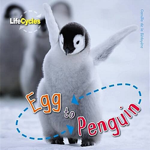 Life Cycles: Egg to Penguin (Paperback)