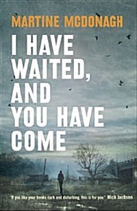 I Have Waited, and You Have Come (Paperback)