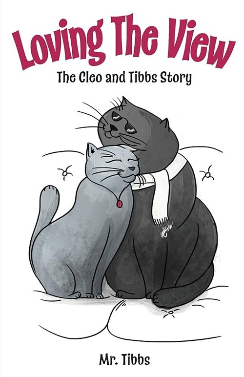 Loving the View: The Cleo and Tibbs Story (Paperback)