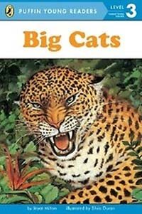 Big Cats (Paperback) - Puffin Young Readers Level 3
