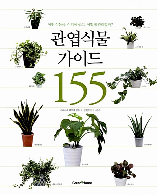 [중고] 관엽식물 가이드 155