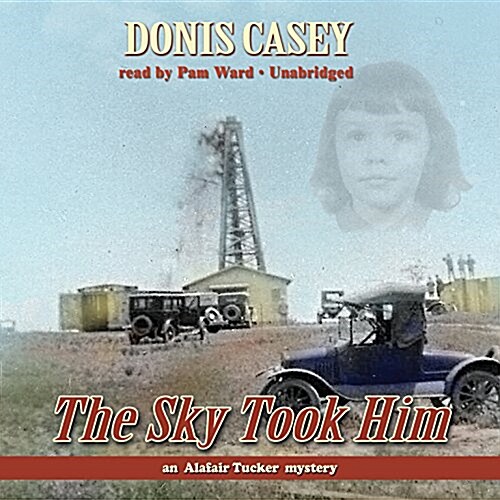 The Sky Took Him (Audio CD)