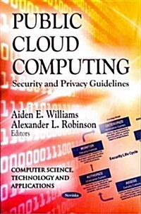 Public Cloud Computing (Paperback, UK)