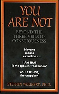 You Are Not: Beyond the Three Veils of Consciousness (Paperback)