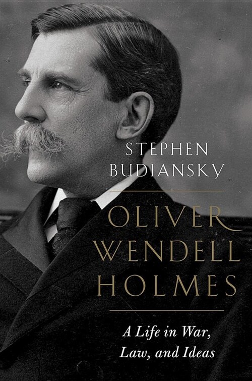 Oliver Wendell Holmes: A Life in War, Law, and Ideas (Hardcover)