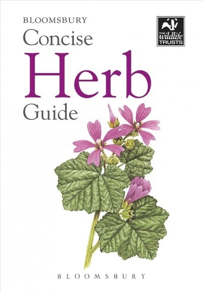 Concise Herb Guide (Paperback)