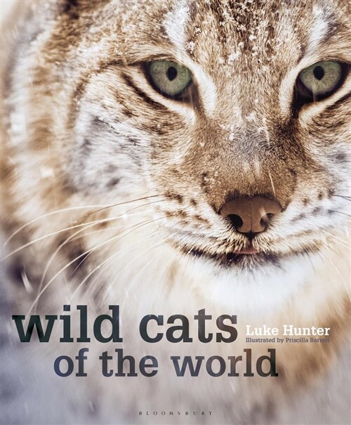 WILD CATS OF THE WORLD (Hardcover)