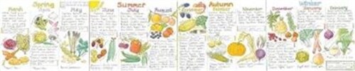 Seasonal Fruit and Vegetables Wallchart (Wallchart)
