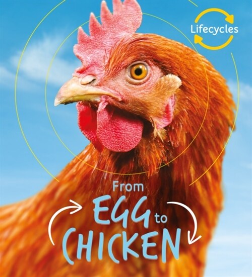 Lifecycles: Egg to Chicken (Paperback)