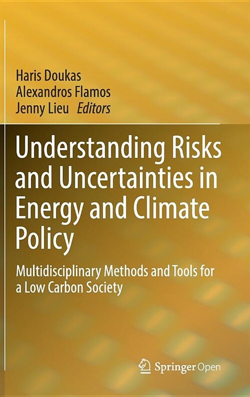 Understanding Risks and Uncertainties in Energy and Climate Policy: Multidisciplinary Methods and Tools for a Low Carbon Society (Hardcover, 2019)