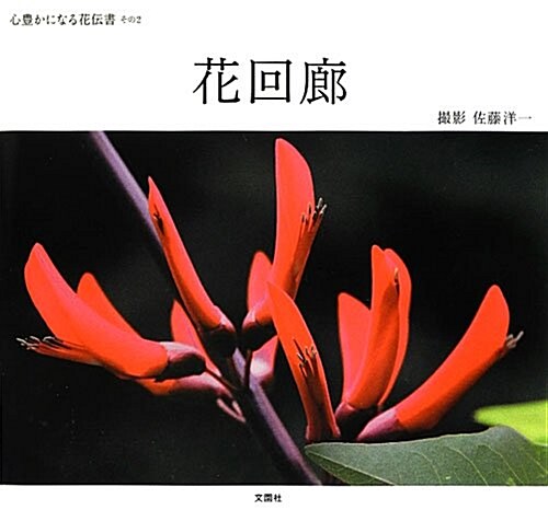 花回廊―心豊かになる花傳書その2 (大型本)