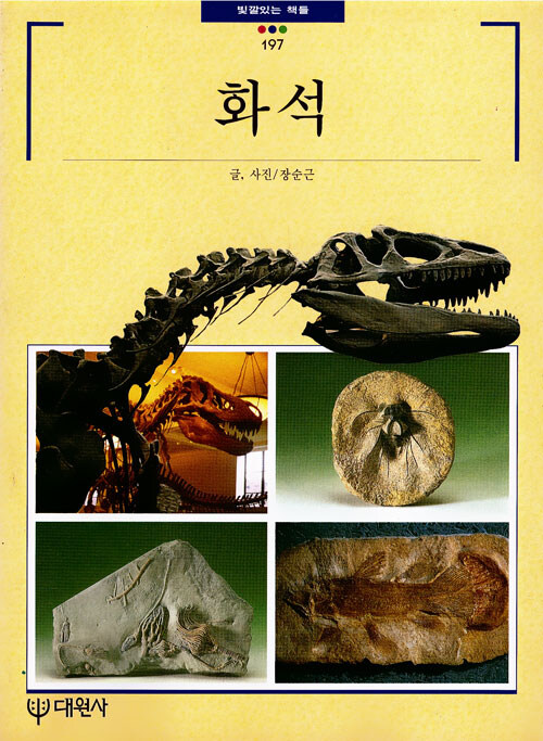 [중고] 화석