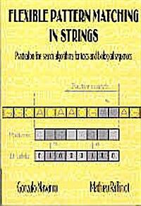 Flexible Pattern Matching in Strings : Practical On-line Search Algorithms for Texts and Biological Sequences (Paperback)