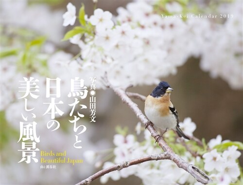 鳥たちと日本の美しい風景カレン (B4ヘン)