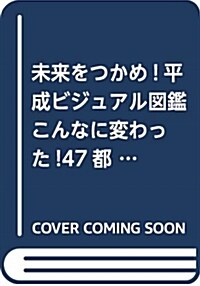 未來をつかめ!平成ビジュアル圖 (A4)